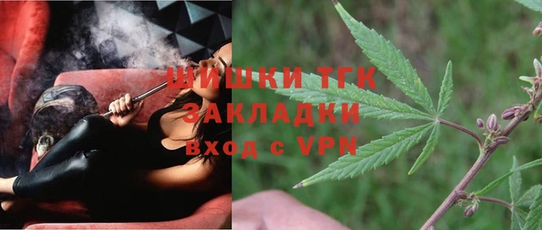 индика Бородино