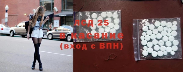 прущие грибы Богородск