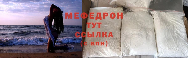 индика Бородино