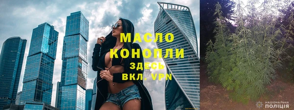 индика Бородино