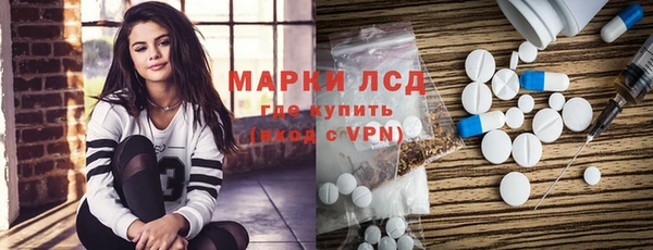 прущие грибы Богородск