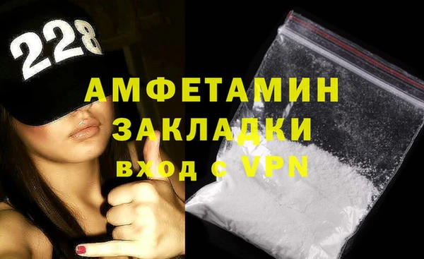 индика Бородино